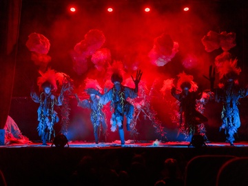 Вперёд, Котёнок!