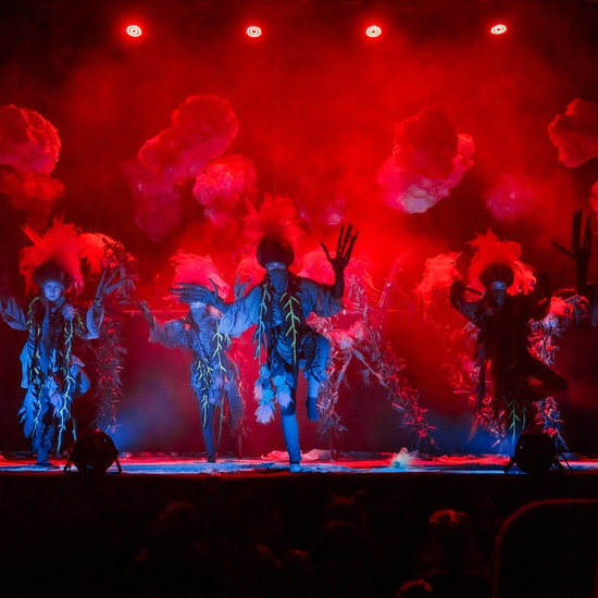 Вперёд, Котёнок!