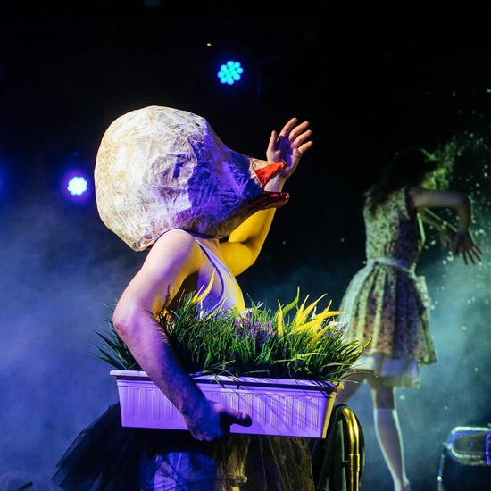 Пахлава глупости