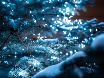 Тайна третьей планеты