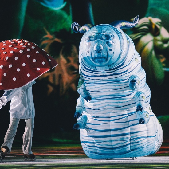 Алиса в Зазеркалье на льду