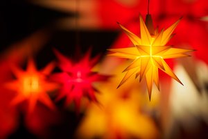 Тайна Жар-птицы