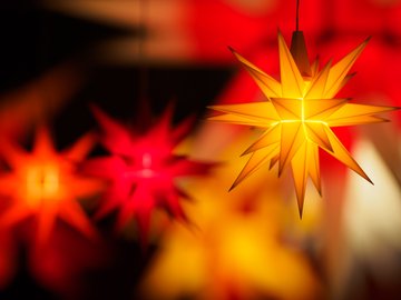 Тайна Жар-птицы