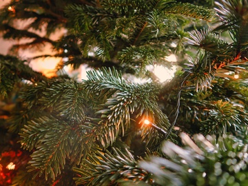 Свят вечер! Добрый вечер!