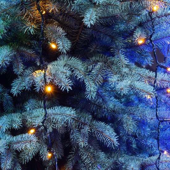 Новый год в Стране чудес