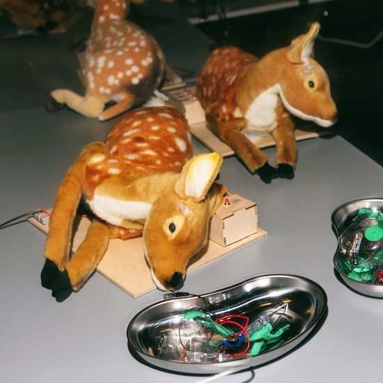 Научный Новый год Sciencely