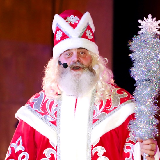 Новогодняя котовасия