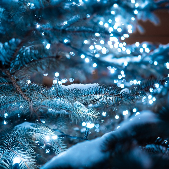 Тайна третьей планеты