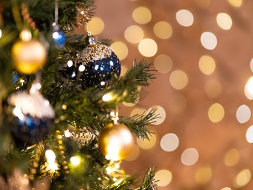 Новогодние приключения Ёжки. Посланник из будущего