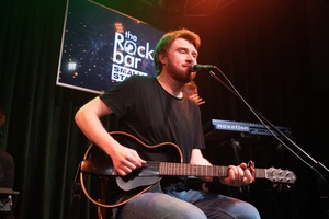 Белки на акации