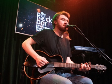 Белки на акации