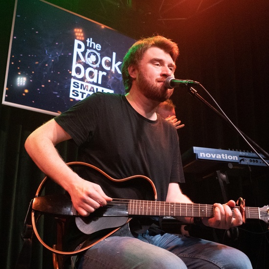 Белки на акации