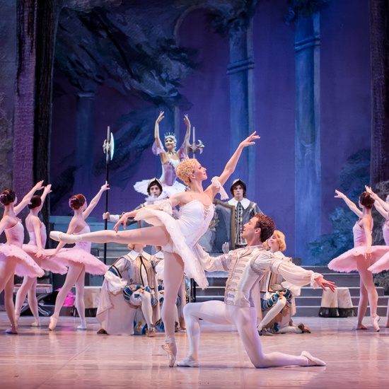 Спящая красавица