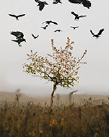 Царская Невеста