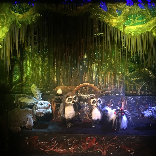 Крошка Енот