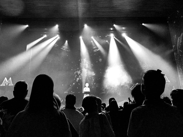 Летят журавли