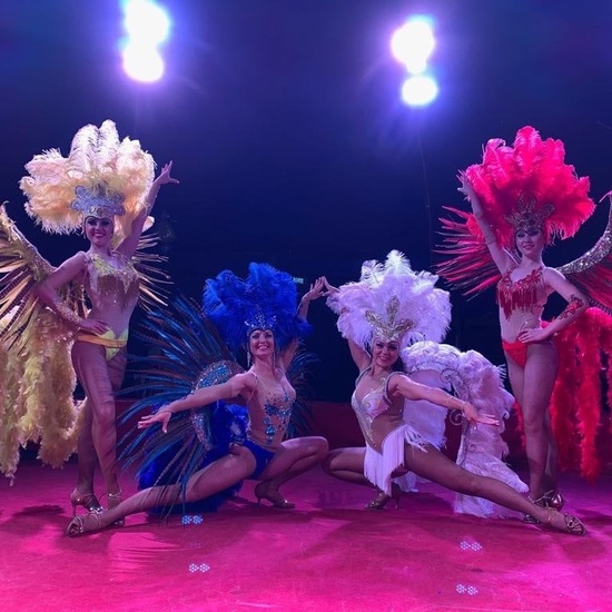 Цирк-шапито «Торнадо». Медведи на буйволах