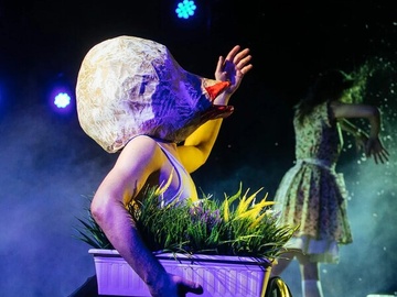 Пахлава глупости