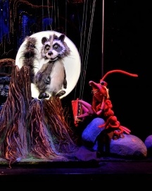 Крошка Енот