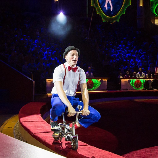 Цирк Никулина