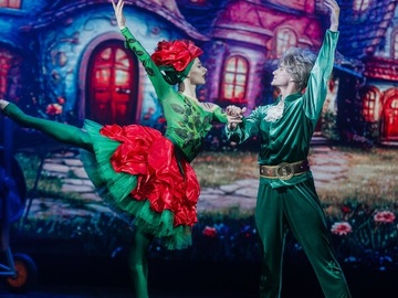 Возвращение Маленького принца