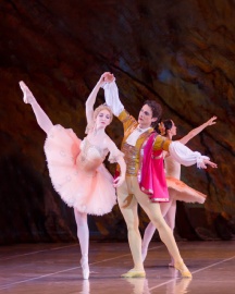 Спящая красавица