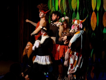 Кошка, которая гуляла, где хотела