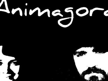 Animagora инди-рок, фолк, на английском языке